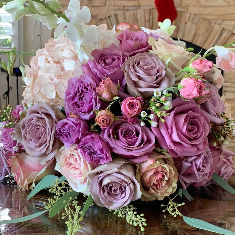 Meet your Posher, Eva